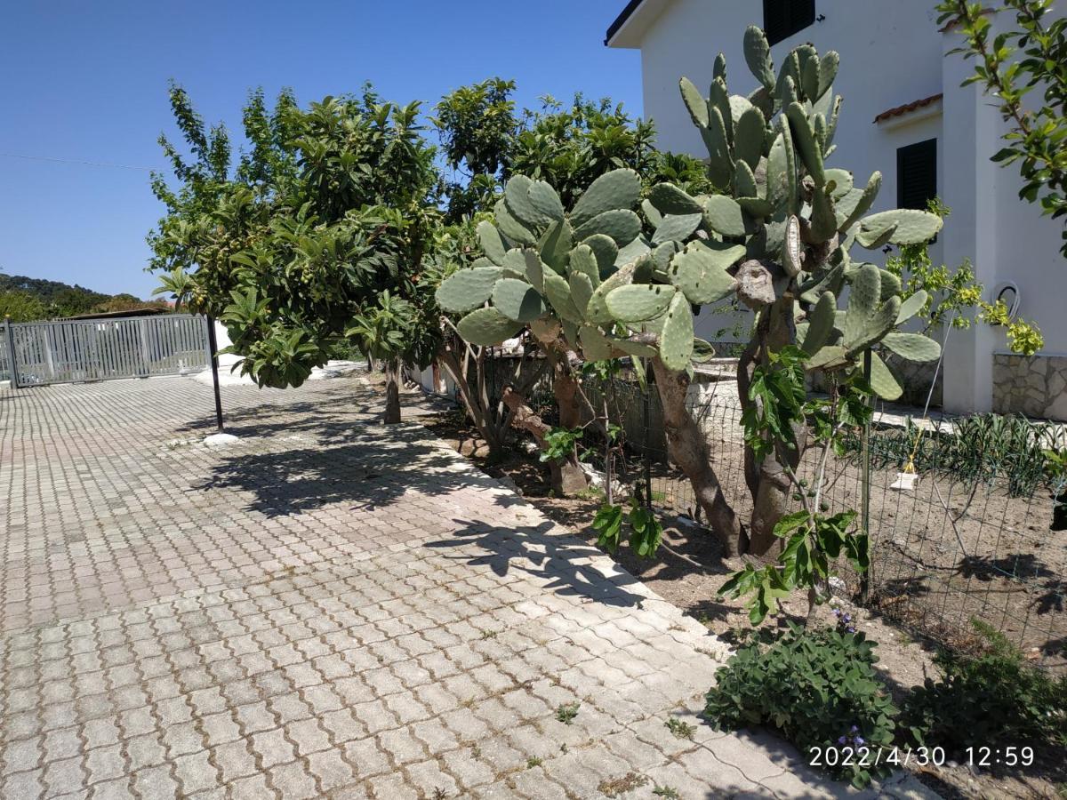 Villa Scialara Βιέστε Εξωτερικό φωτογραφία